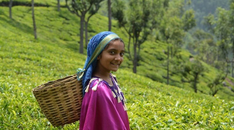 Munnar