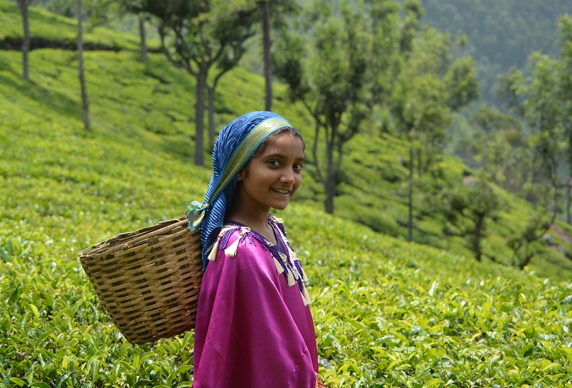 Munnar
