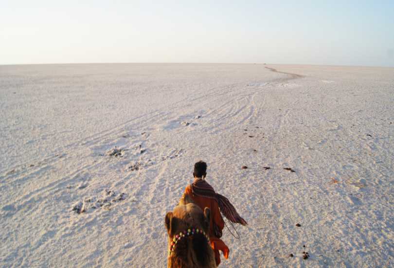 Rann of Kutch, Gujarat