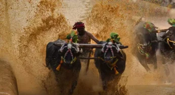 Top 20 Fairs and Festivals of Karnataka 2025 with Dates