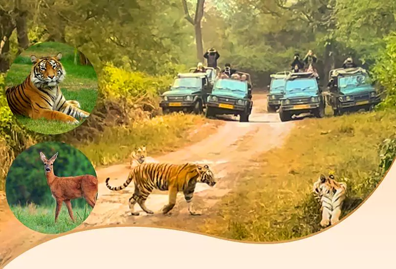 Jim Corbett travel