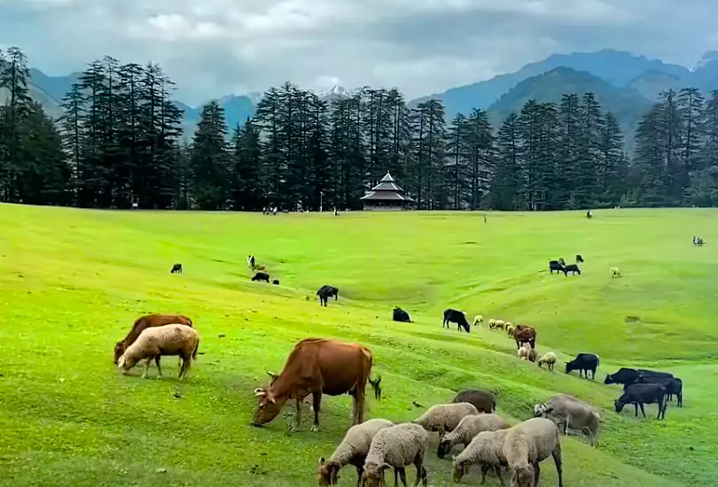 Mandi, Himachal Pradesh