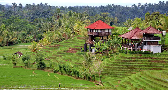 bali 3405221 640