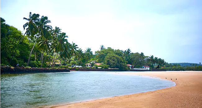 calangute beach