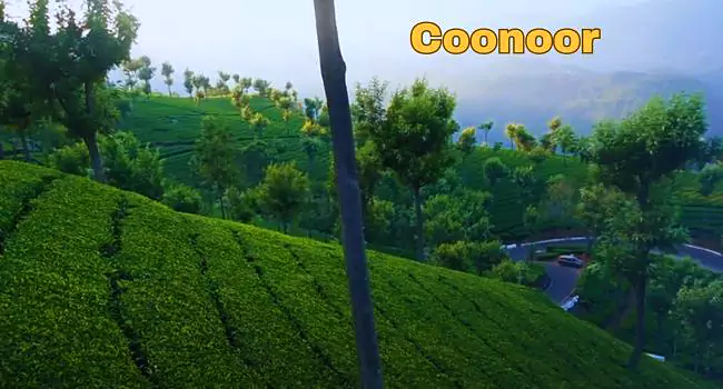 coonoor 