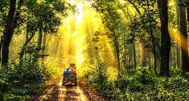 corbett  safari