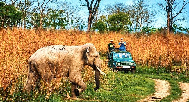 corbett safari c3