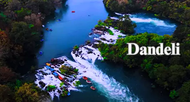 dandeli