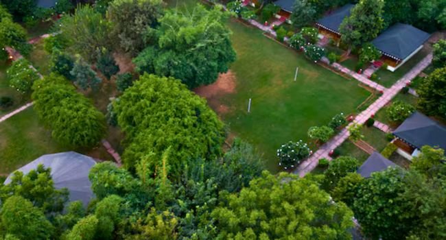 garden