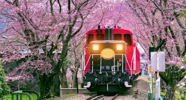 japan sagano romantic train   one way