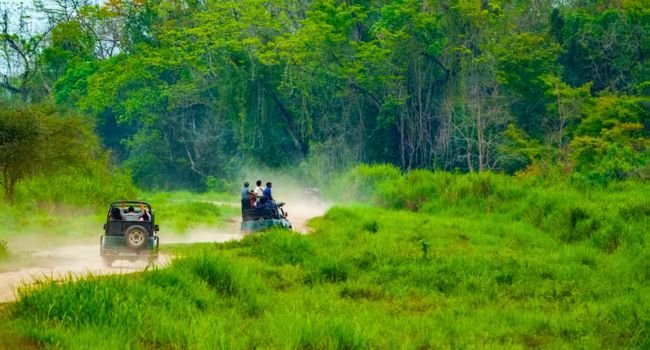 jeep safari