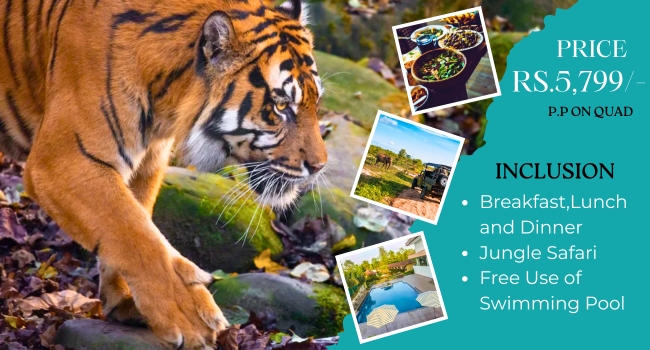 jim corbett 1
