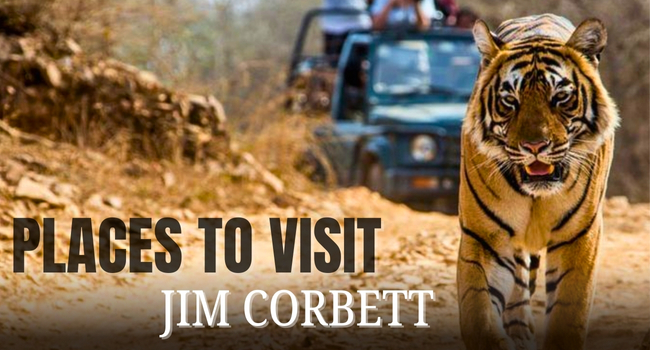 jim corbett