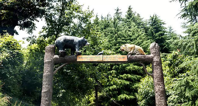 jungle safari kalatop wildlife sanctuary