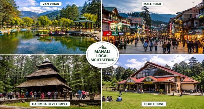 local manali