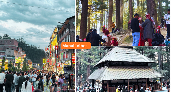 manali vibes local