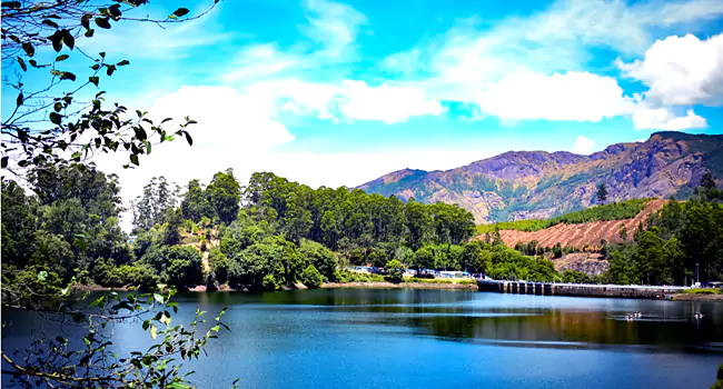 mattupetty dam munnar