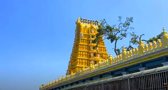 mysore