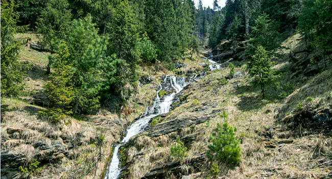 rahala falls in manali