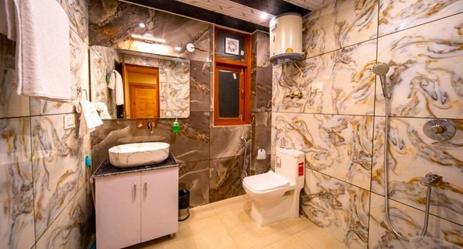 the serene manali hotel1
