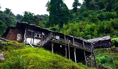 anini