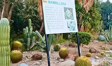 cactus garden chandigarh
