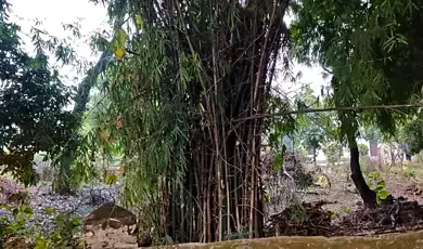 chhoti haldwani