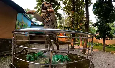 corbett museum jim corbett