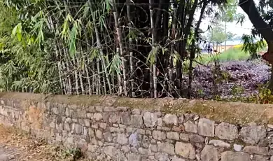 explore chhoti haldwani