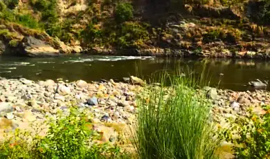 fishing & angling