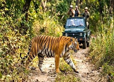 listing image of corbett