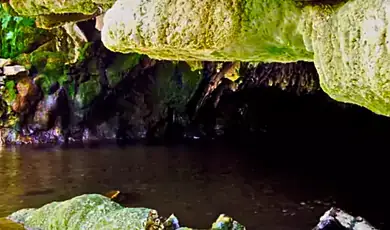 meditate in the tranquil surroundings