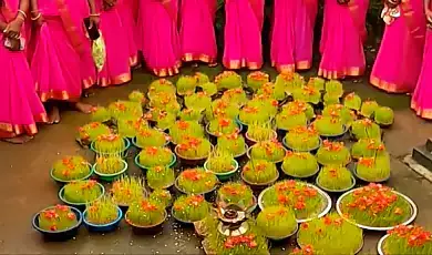 navakhana festival chhattisgarh