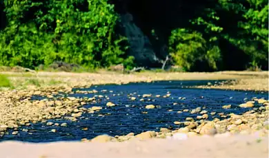 pakke tiger reserve