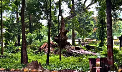 pawalgarh conservation reserve