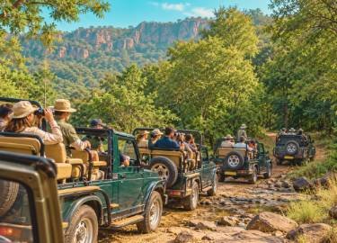 ranthambore wildlife thumbnail