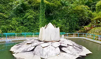 rock garden darjeeling