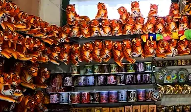 shop for local handicrafts