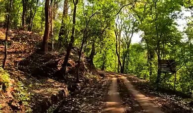 silent valley national park