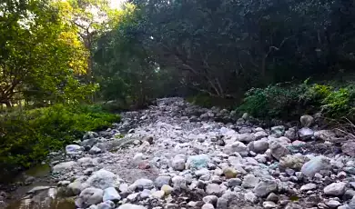 sitabani forest reserve jim corbett