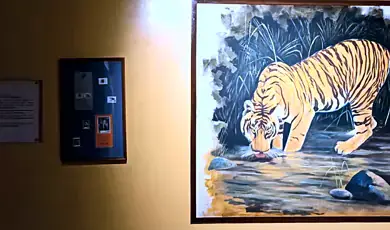 visit corbett museum