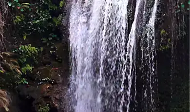 visit corbett waterfall