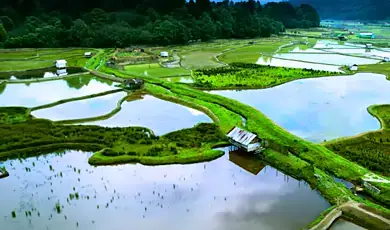 ziro valley