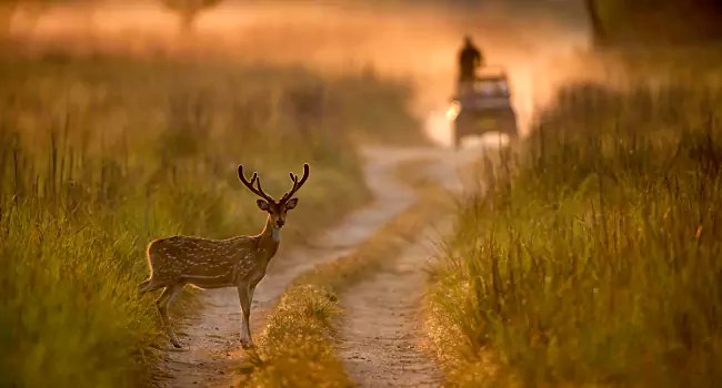 untitled design (58)